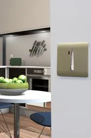 Champagne Gold Wiring Accessories Trendi Decorative Screwless